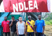 NDLEA Busts Oyo Forest Meth Factory, Arrests Mexican Chemist