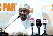 SDP Crisis Ends as INEC Recognises Gombe as SDP Chairman