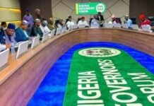 Nigeria Governors Back Plan for Creation of State Police