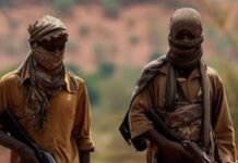Kebbi Communities Live in Fear as Sai Mallam Terror Group Expands