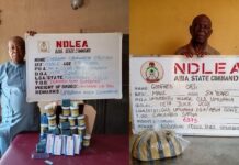 NDLEA Arrests Two Elderly Drug Suspects in Abia, Oyo