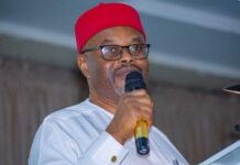 Ex-Minister Nnaji Arrested at Abuja Airport Over Forged Certificates