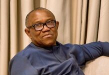 Peter Obi: ‘You Can’t Renew Failure’ Under Tinubu Govt