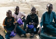 UN Group Warns 17 Million in Northern Nigeria Face Severe Hunger