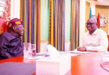 Tinubu Names 26 Officials To 10 Agencies, Fayose Heads REA