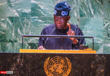 Nigeria Proposes UN Charter Preamble Be Adopted in National Laws