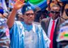 Bauchi Council Polls: APM Clears All 20 LGA Chairmanship Seats