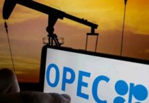 OPEC Projects Africa’s Oil Demand to Hit 9.2mb/d by 2050