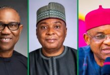 CCB Probes Obi, Saraki, Mark, Oduah Over Panama Papers